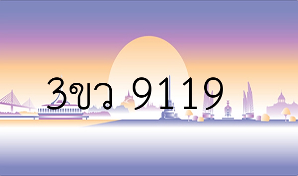 3ขว 9119